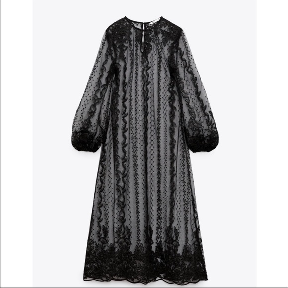 Zara embroidered semi sheer dress - Picture 4 of 6